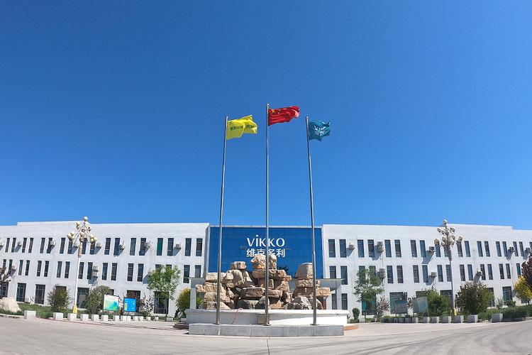 山东维克多利纸业 以造纸化工产品销售为龙头的多元化发展路径